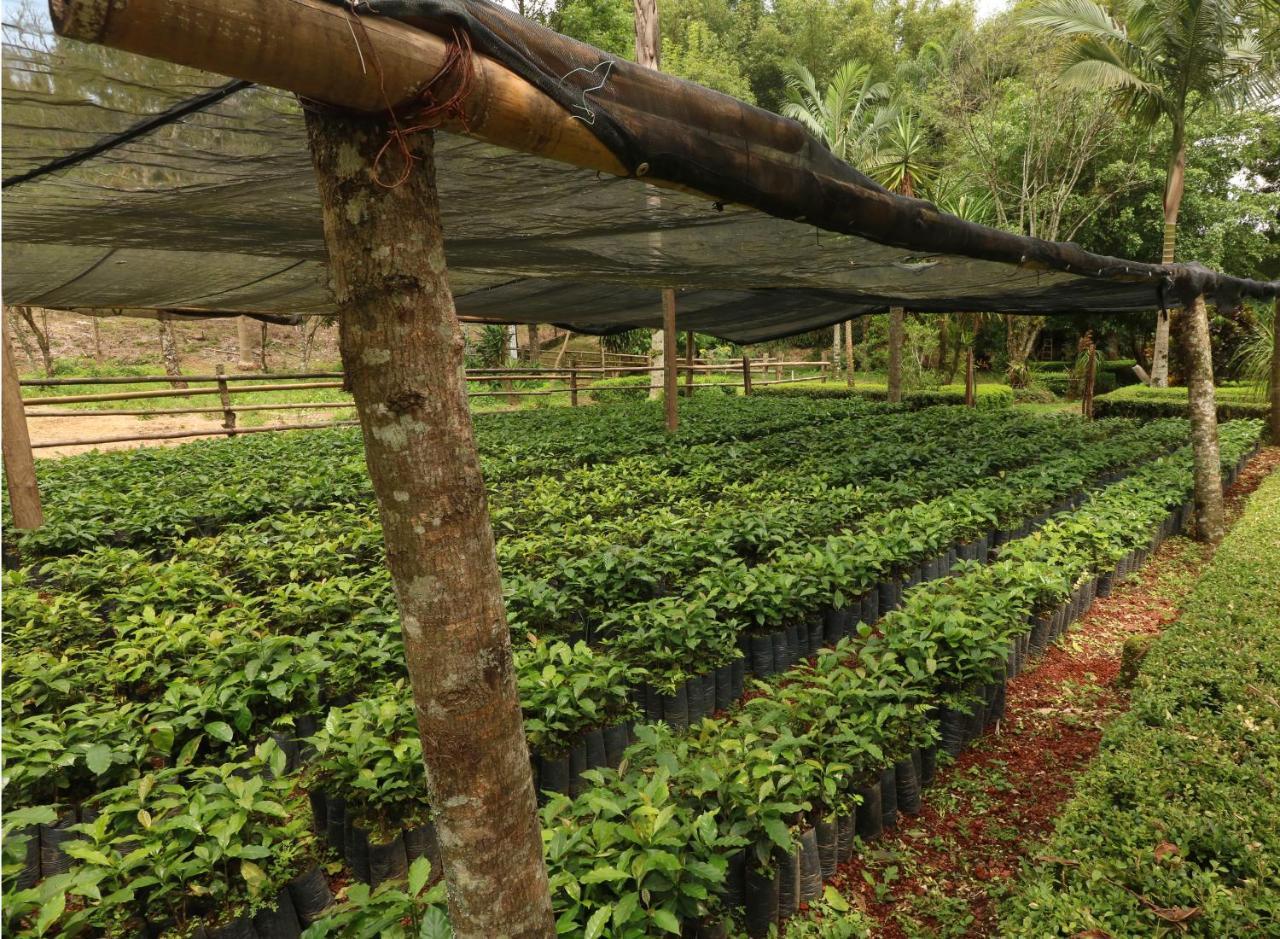 Mision Los Cocuyos Alta Montana Huatusco Екстер'єр фото